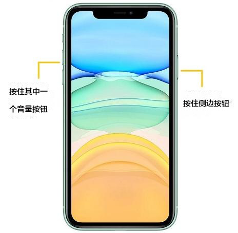 重新启动 iPhone