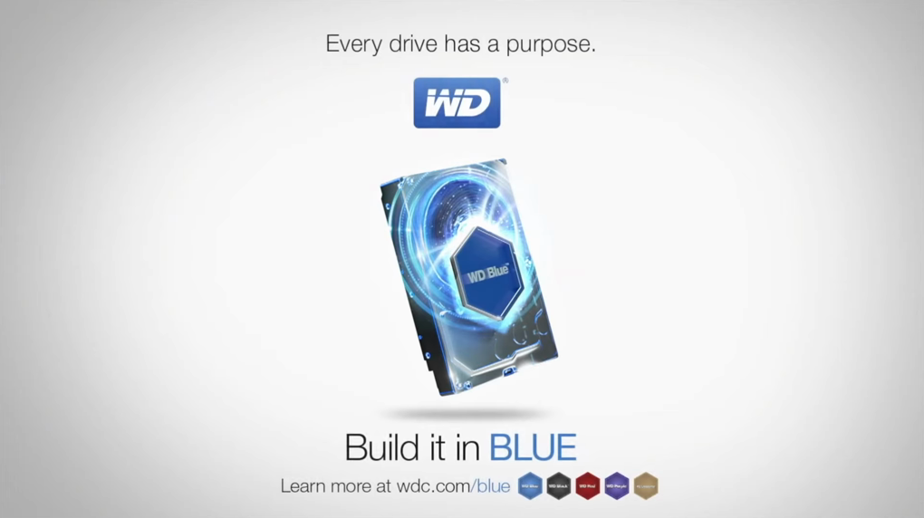 WD Blue 硬盘
