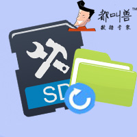 fomatted-sd-card-data-recovery SD卡格式化数据恢复——都叫兽数据恢复
