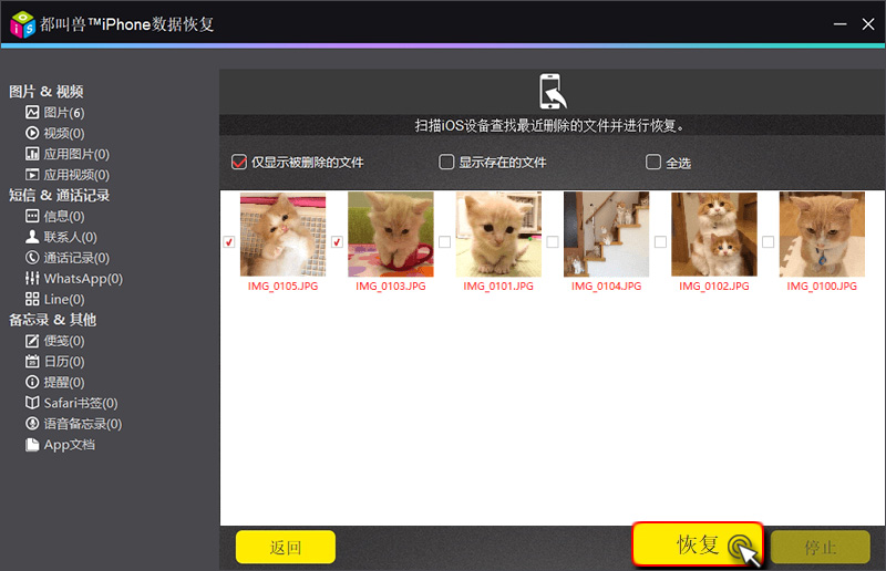 从扫描结果中选择要恢复的文件，点击“恢复”即可找回文件。