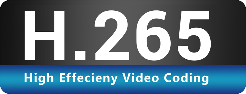 h.265
