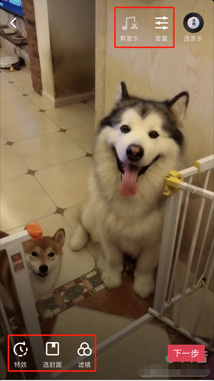 编辑抖音