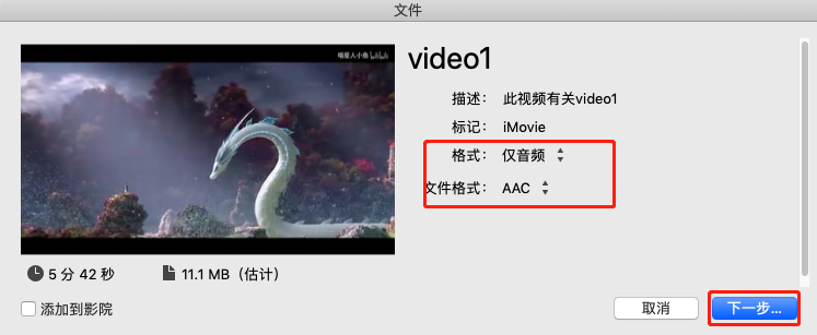 选择仅音频以及格式