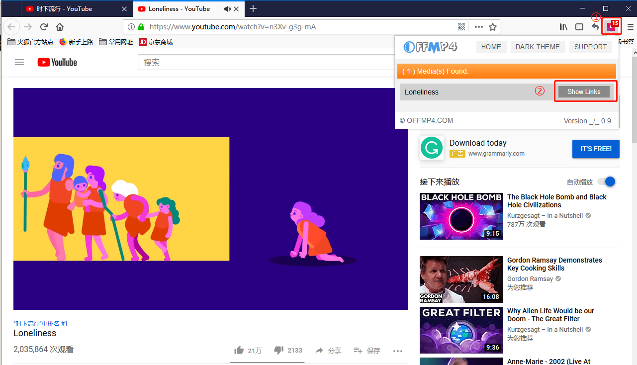 YouTube视频转MP4 2