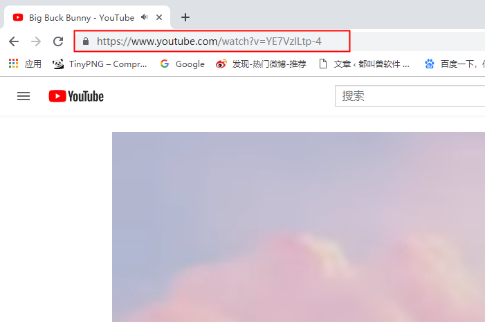 复制视频链接