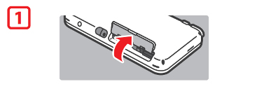 2DS LL