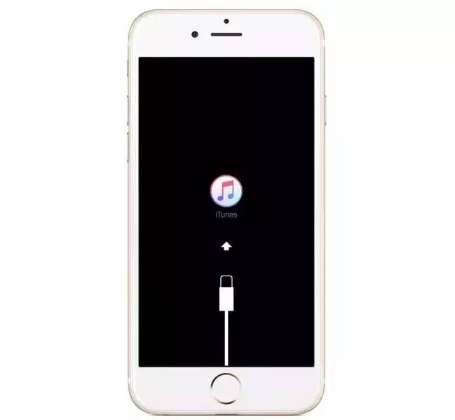 连接到iTunes