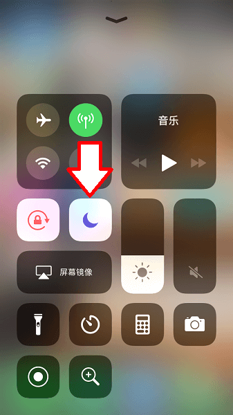 ios12-bug5