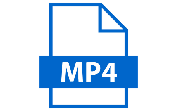 MP4格式文件