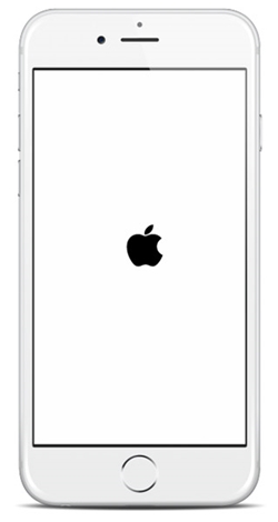 iPhone卡在苹果徽标界面