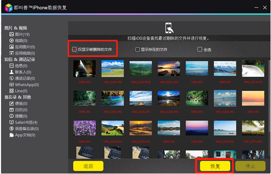 选择“仅显示被删除的文件”,再按“恢复”按钮