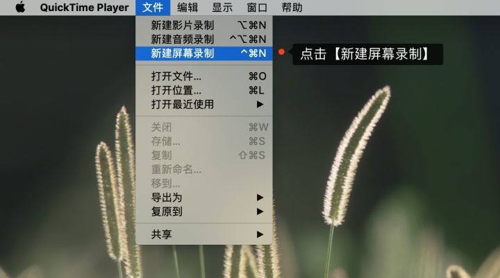 QuickTime屏幕录制