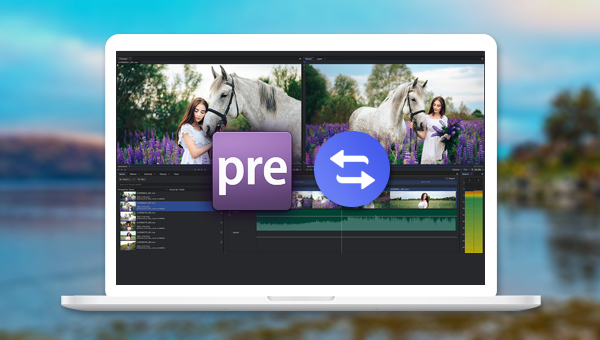可替代Adobe Premiere Elements的视频分屏制作软件
