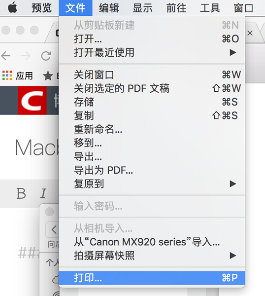 预览打印PDF