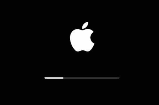 屏幕上出现Apple的Logo