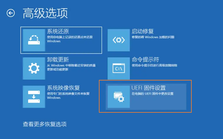 UEFI固体设置选项