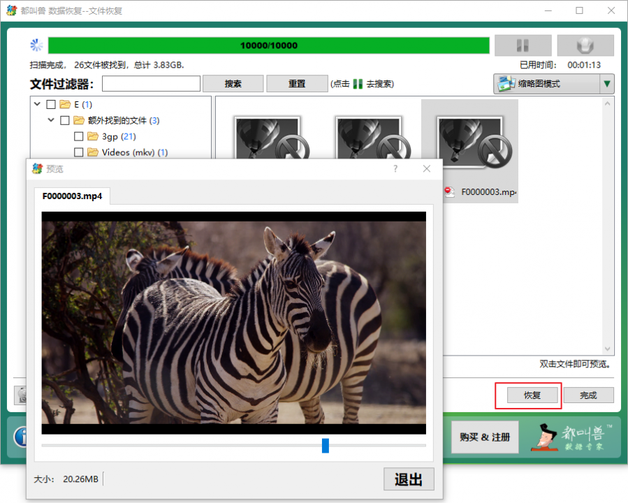 文件恢复预览文件并恢复