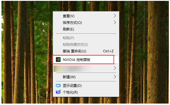 显示NVIDIA控制面板选项