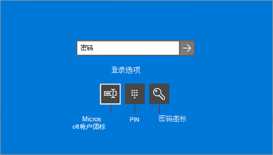 Windows登录选项