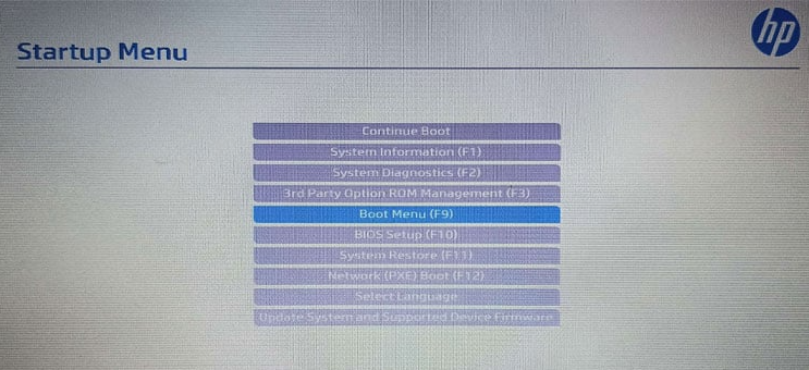 使用键盘上的箭头键导航到与 Windows 安装磁盘或可启动 USB 驱动器对应的选项