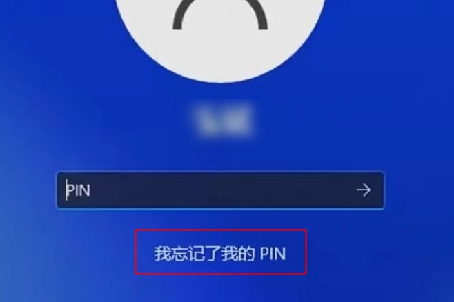 我忘记了我的pin