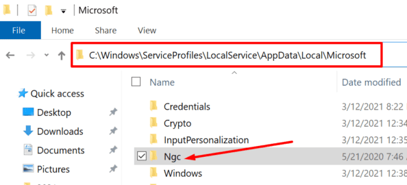 访问 Windows NGC 文件夹