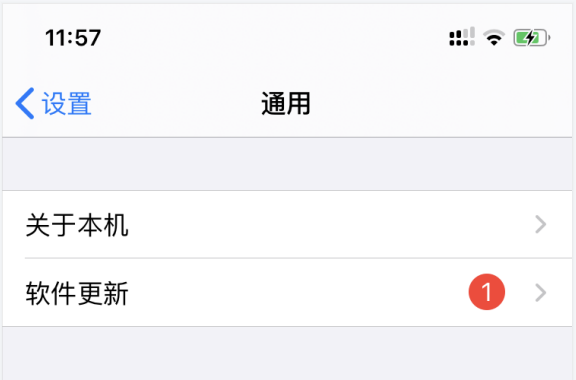 iPhone 软件更新