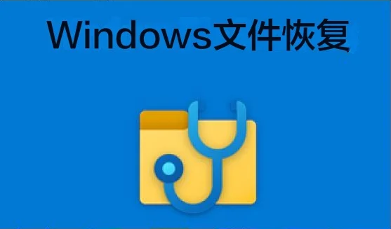 Windows 文件恢复软件