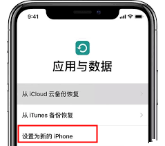 在“应用与数据”屏幕上，选择“ 设置为新的 iPhone”选项