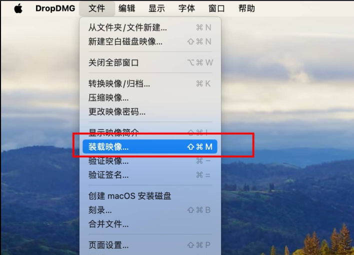 在macOS中，使用文件 -> 打开磁盘映像来加载镜像文件