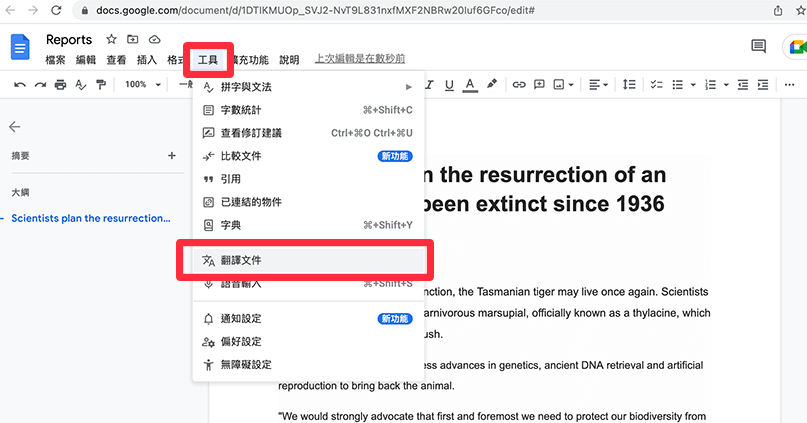 Google 文档，翻译文档