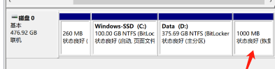 磁盘管理中的Windows恢复分区