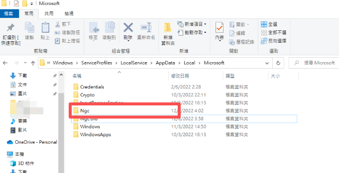 Windows 中的 ngc 文件夹